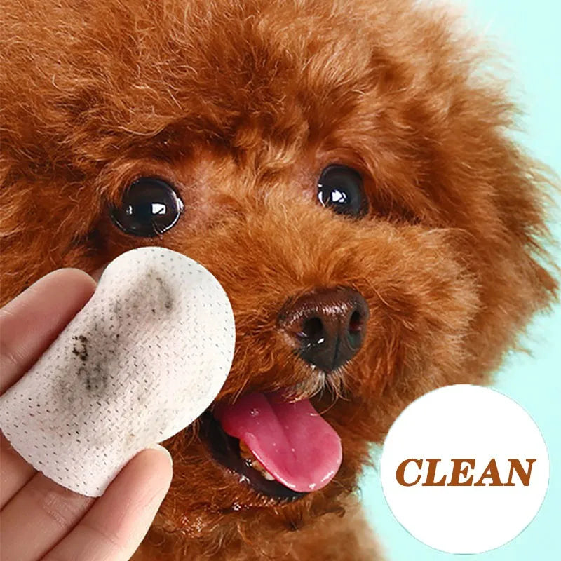 Lingettes Yeux Animaux