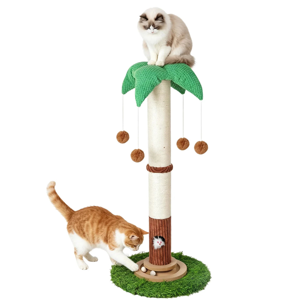 Arbre À Chat Griffoir