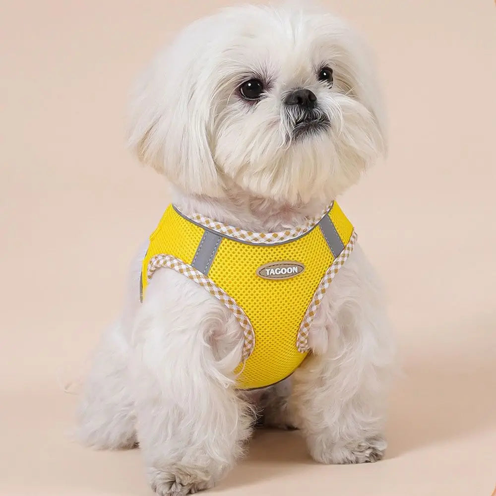 Balle Interactive pour Chien