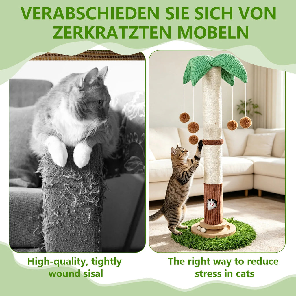 Arbre À Chat Griffoir