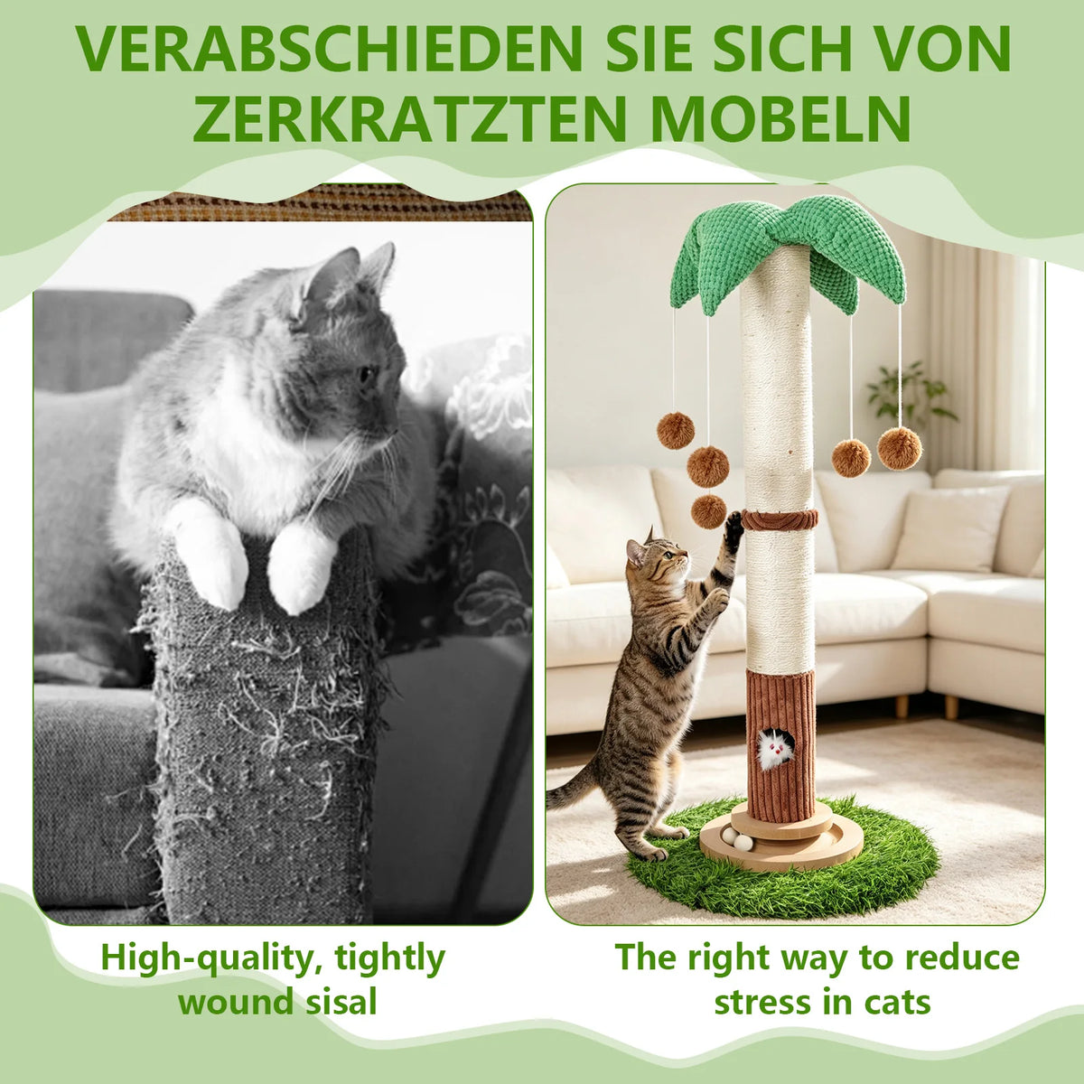Arbre À Chat Griffoir