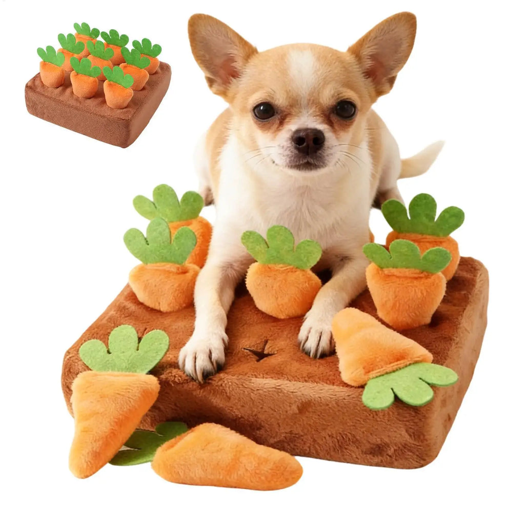 Tapis de Fouille Carottes