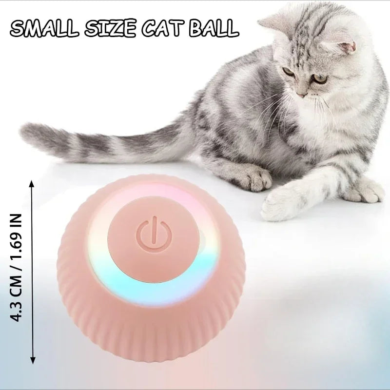Balle Intelligente Pour Chat