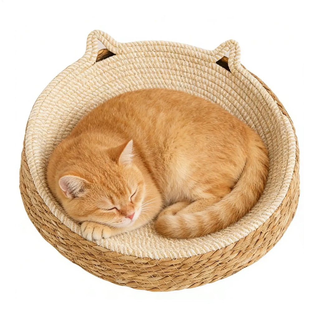 Nid Griffoir Douillet Chat