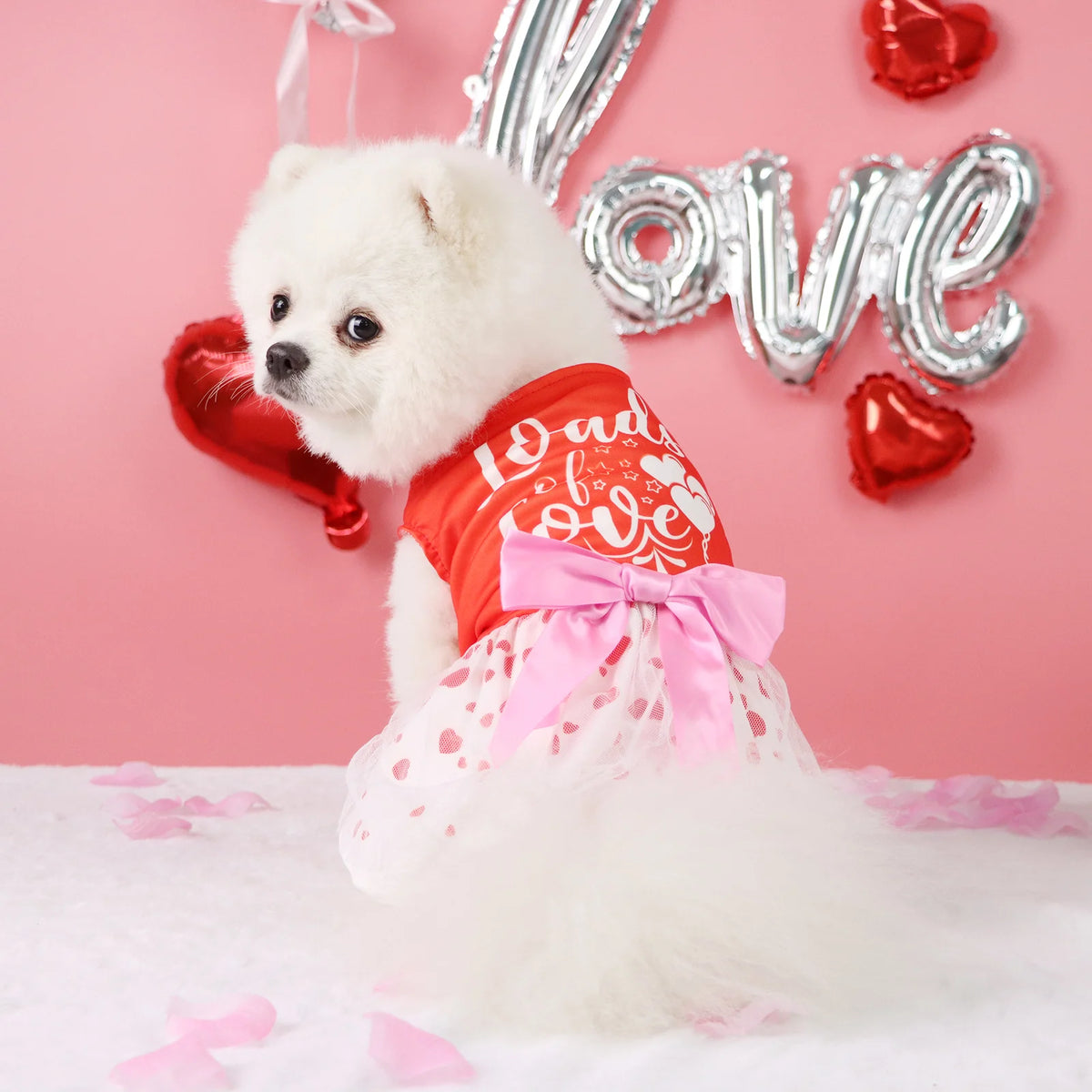 Robe Cœur Pour Animaux