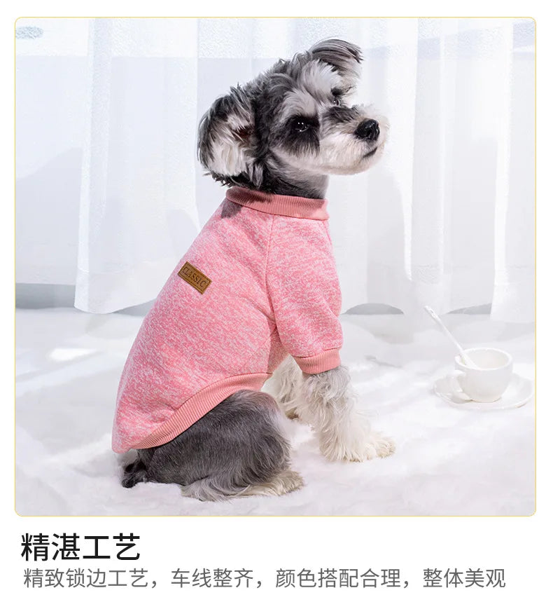 Pull Chaud Pour Chien
