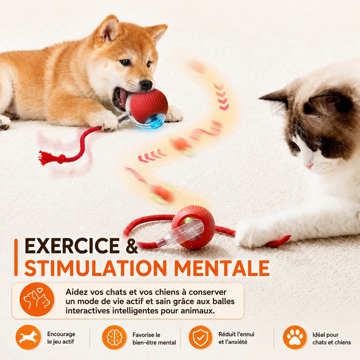 Balle Interactive Intelligente