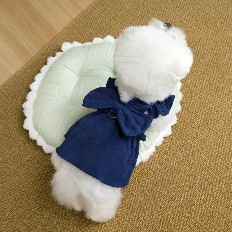 Tenue Princesse Pour Chat