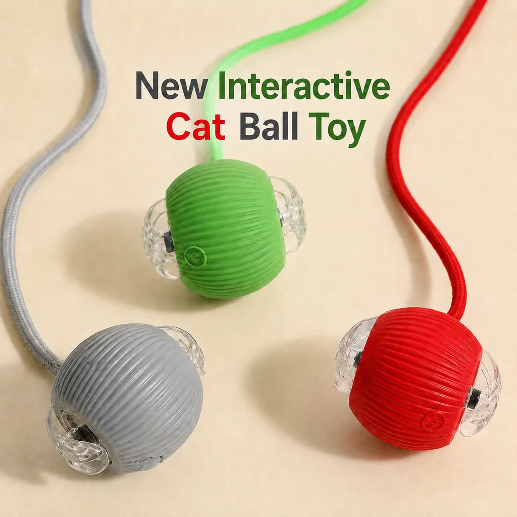 Jolie Balle Intelligente Pour Chat