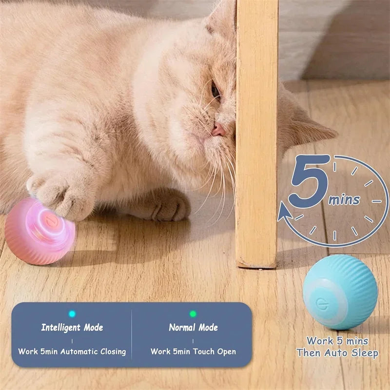 Balle Intelligente Pour Chat