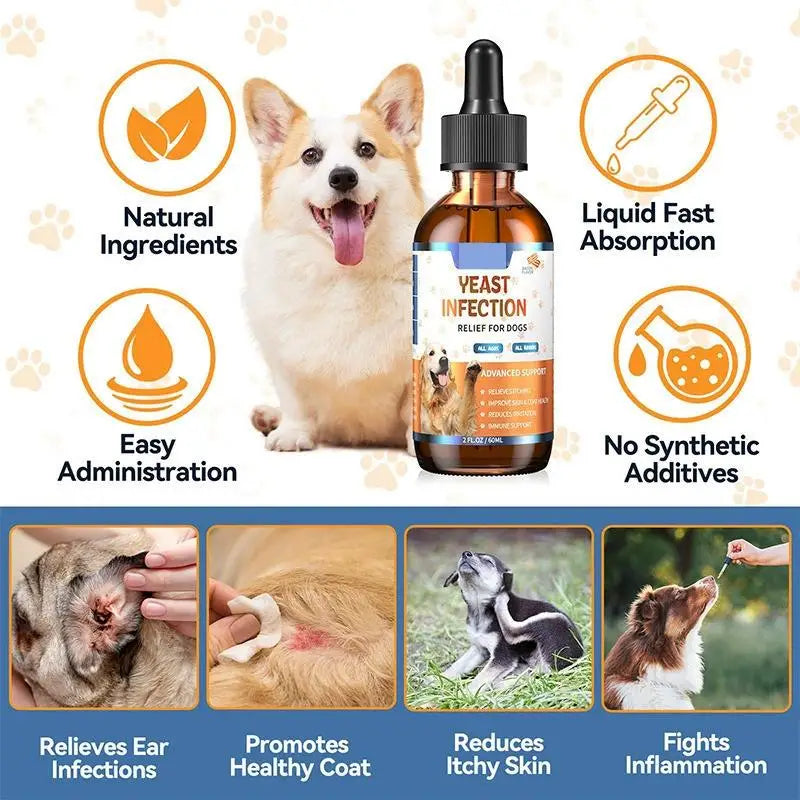 Gouttes Beauté Pour Chien