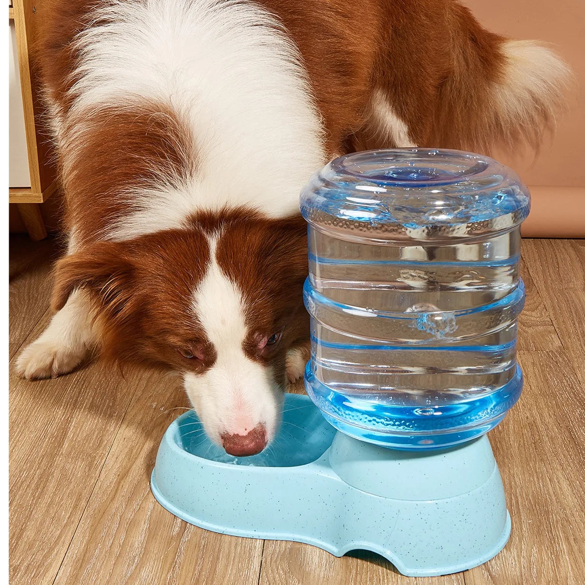 Distributeur Eau Anti-Renversement