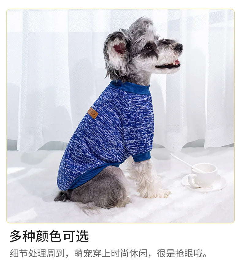 Pull Chaud Pour Chien