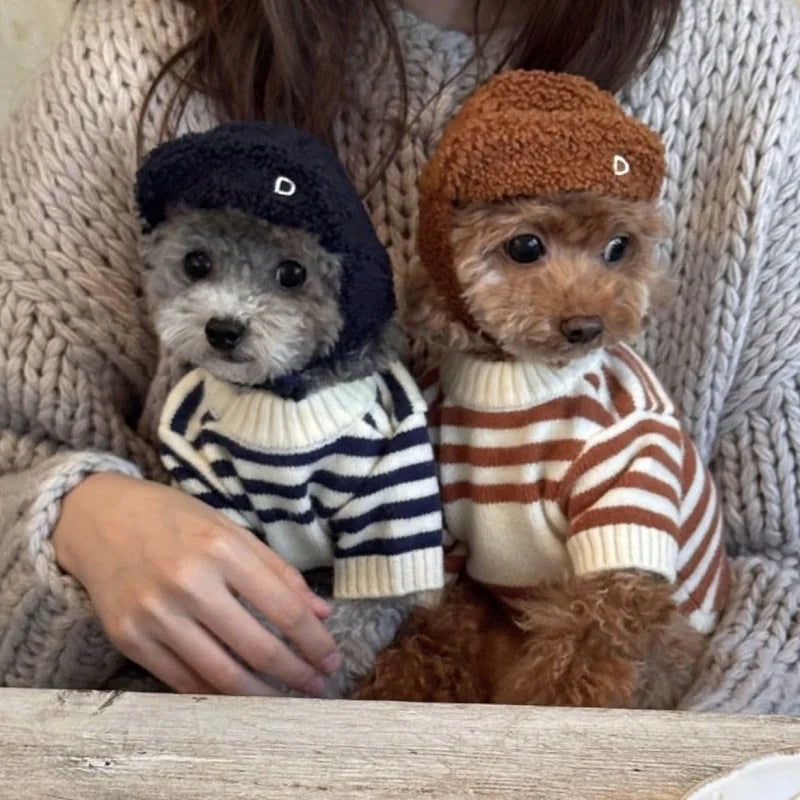 Pull Ours Douillet Pour Chien
