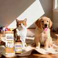 Vitamines B Pour Animaux