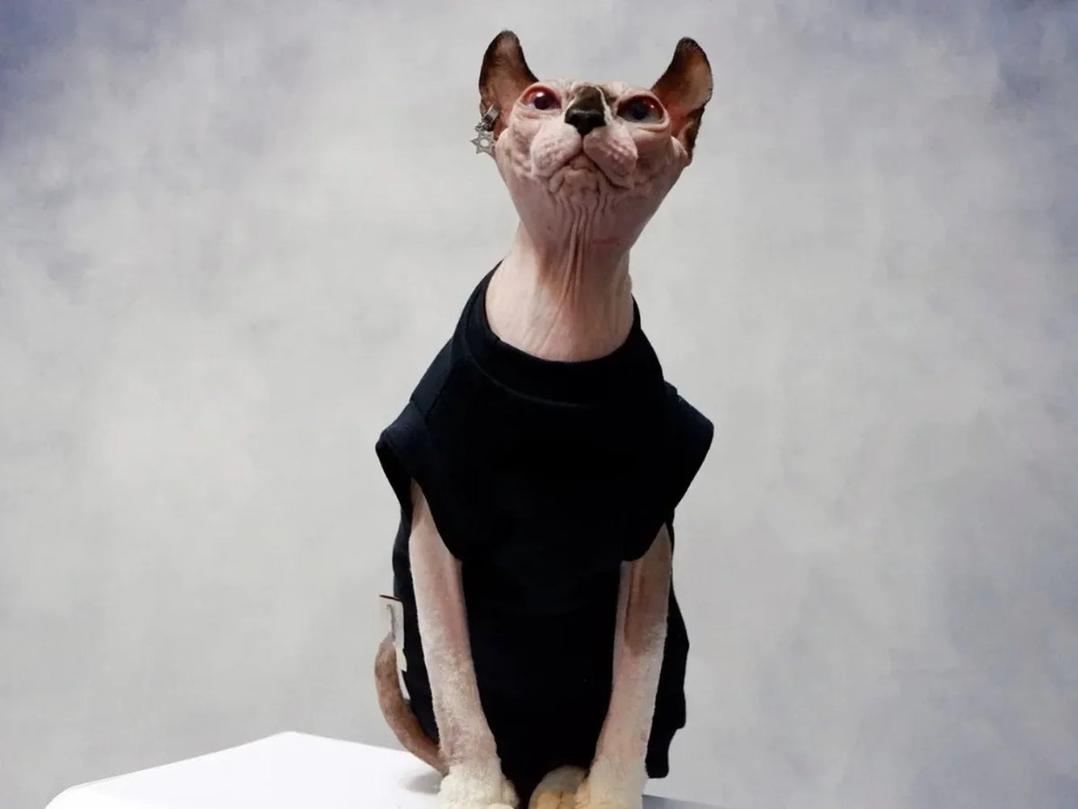 Gilet Chat Coton Doux