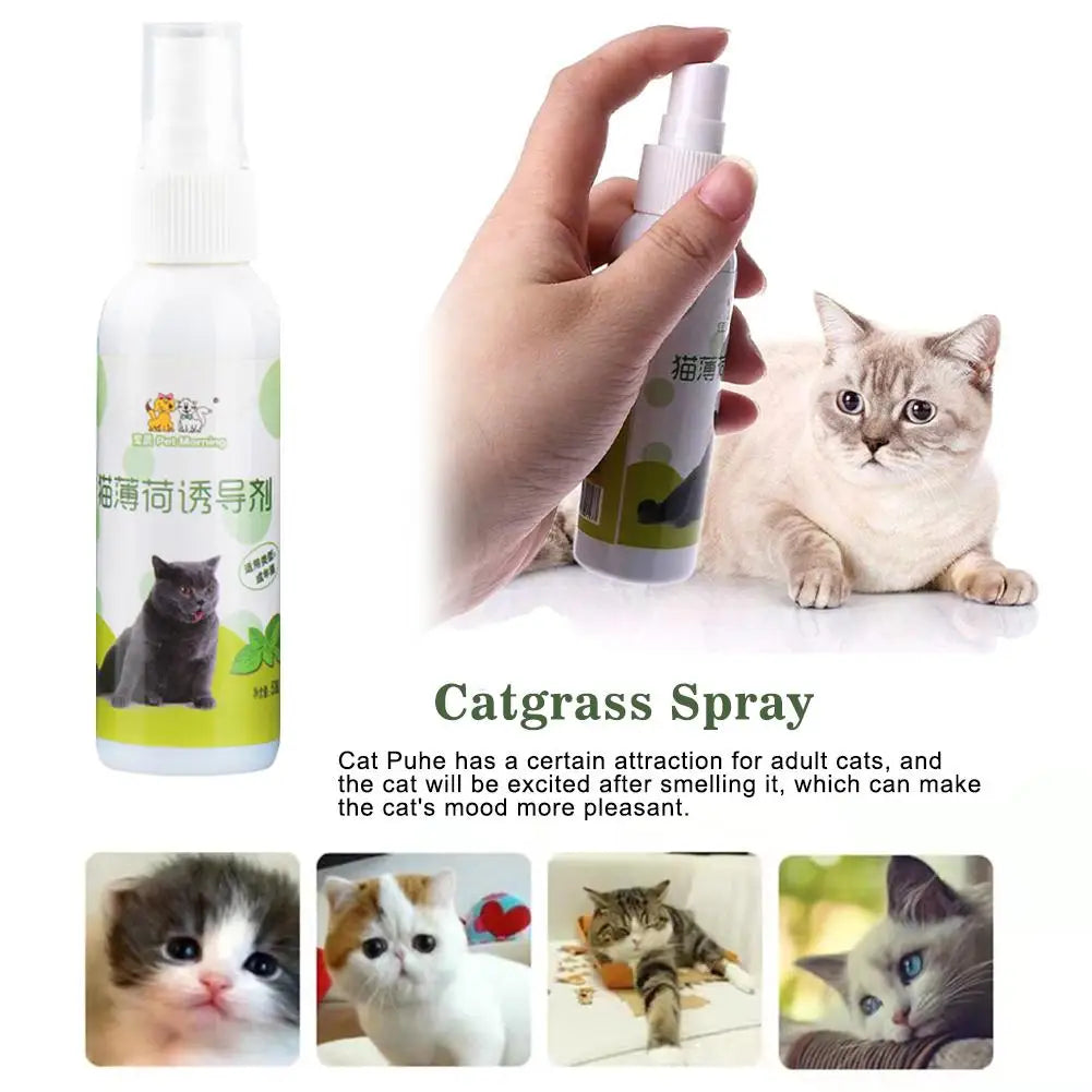 Spray Cataire Plaisir Félin
