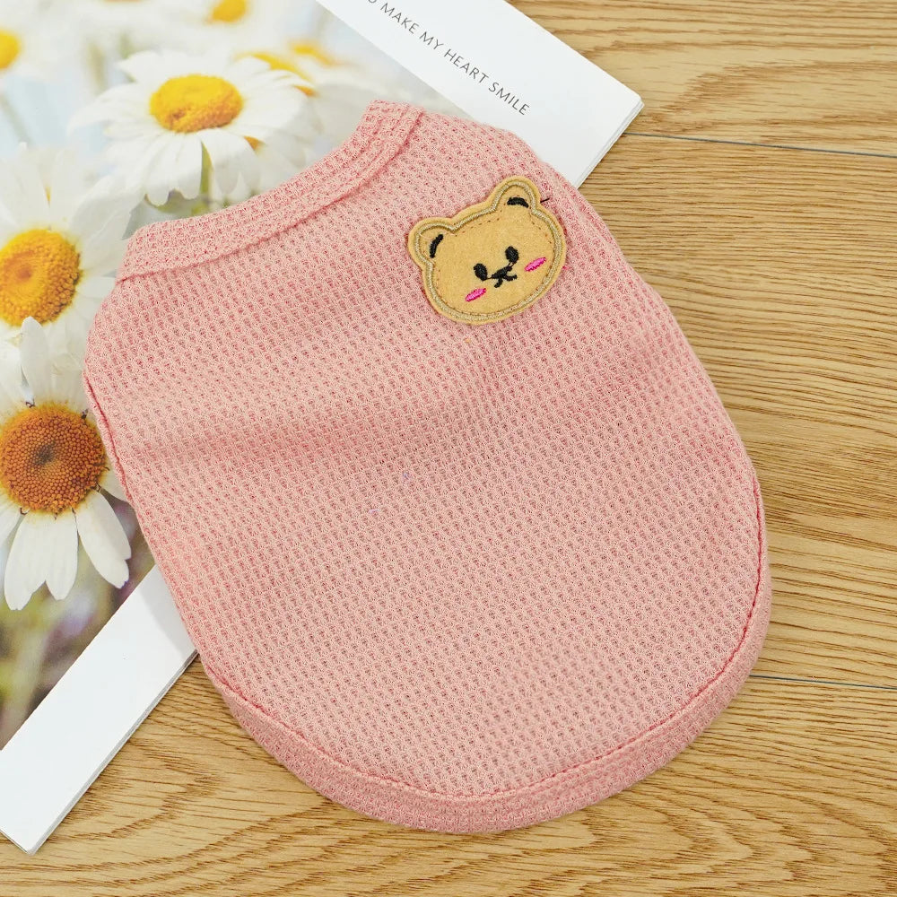 Gilet Ours Douillet Pour Chat