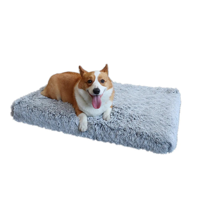 Cocon Douillet pour Animaux
