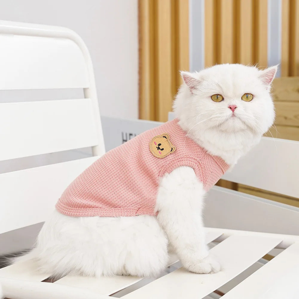 Gilet Ours Douillet Pour Chat
