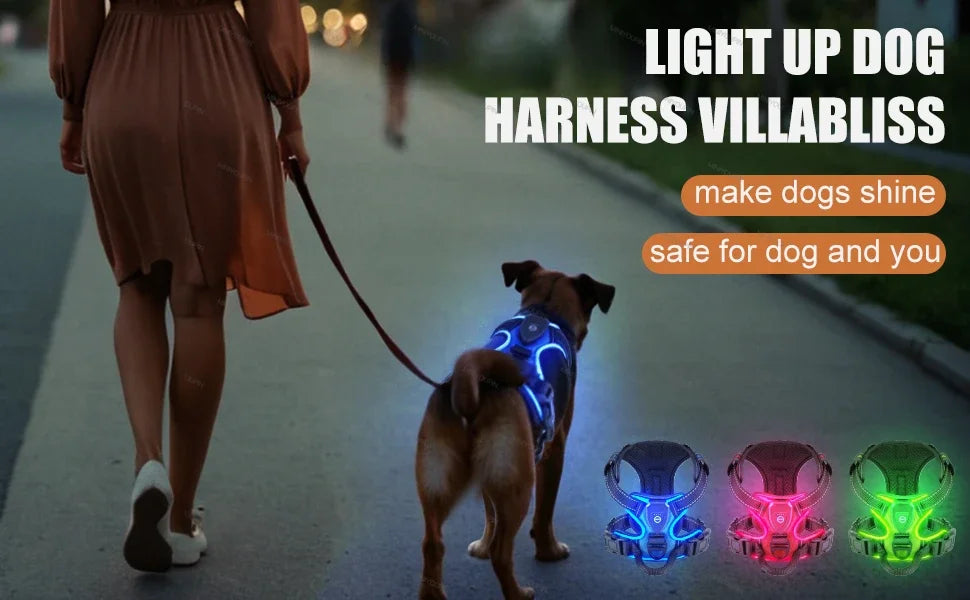 Harnais LED Lumineux
