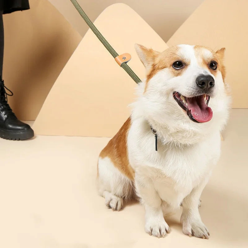 Laisse Corde Réglable Pour Chien