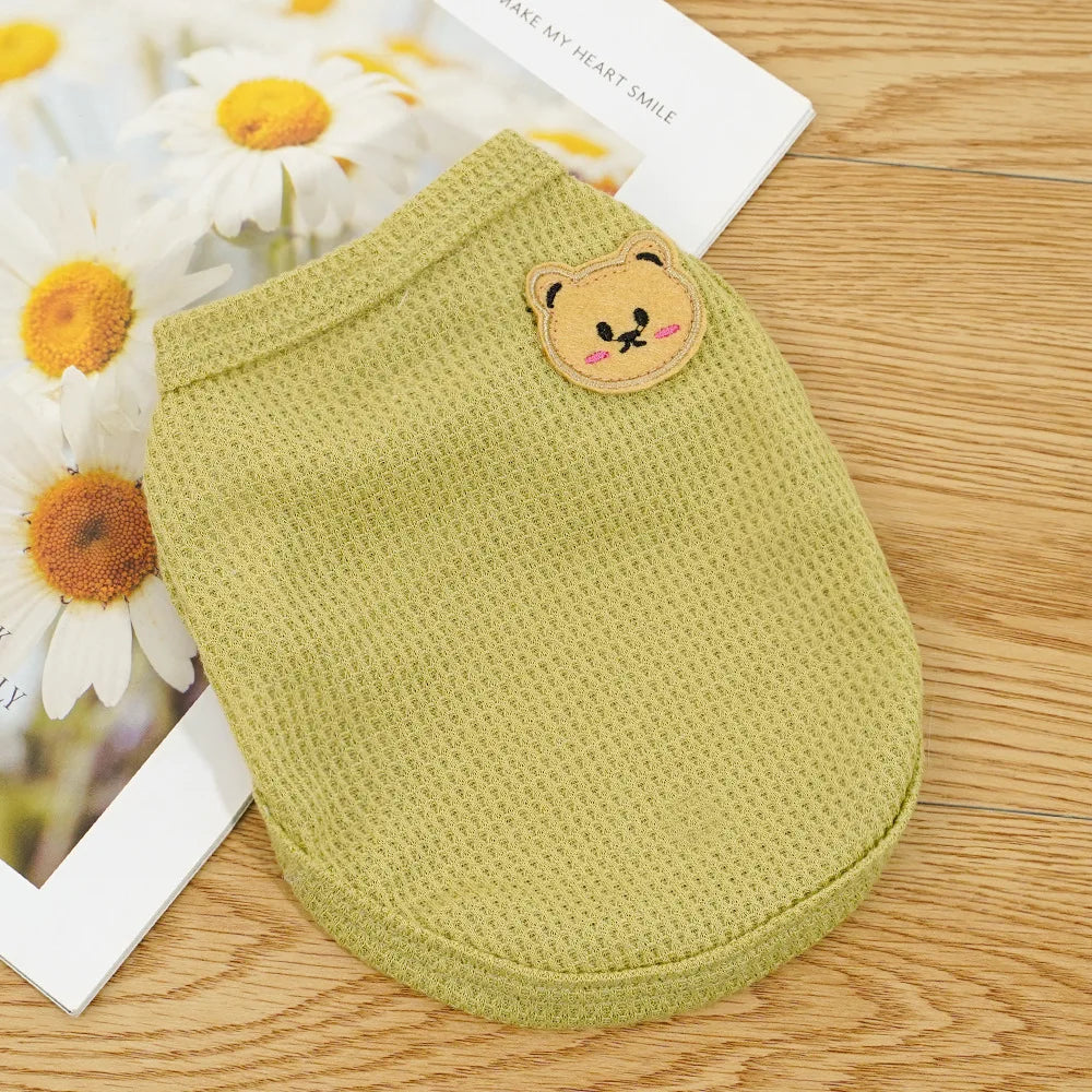 Gilet Ours Douillet Pour Chat