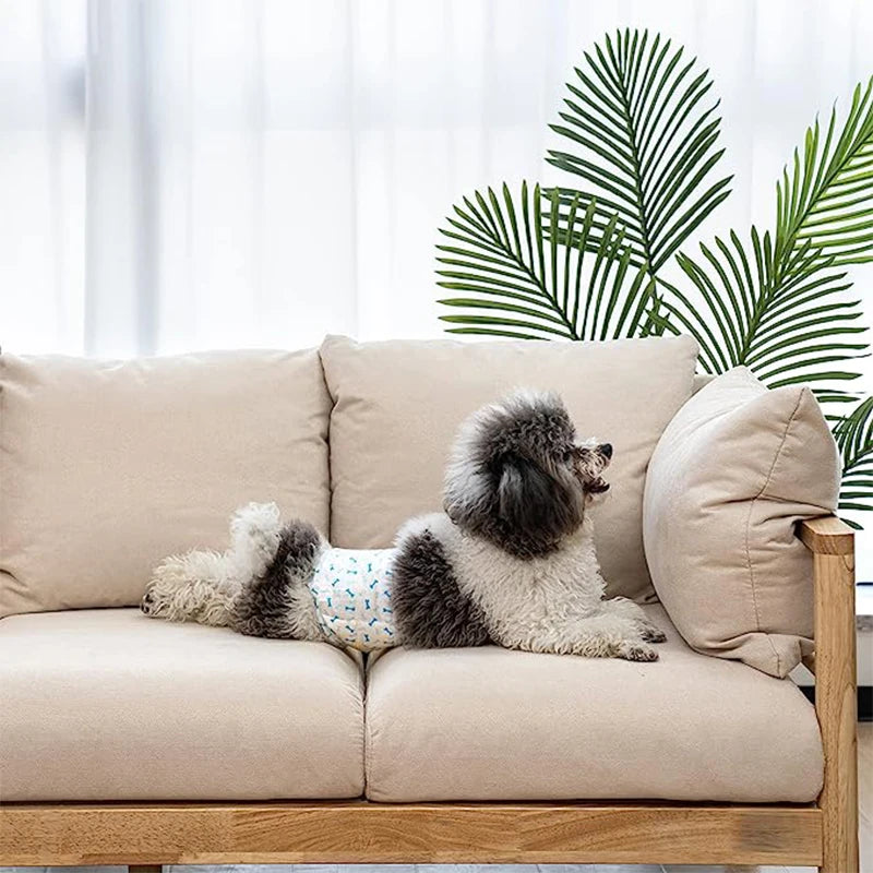 Couches Lavables Chien 10 Pièces