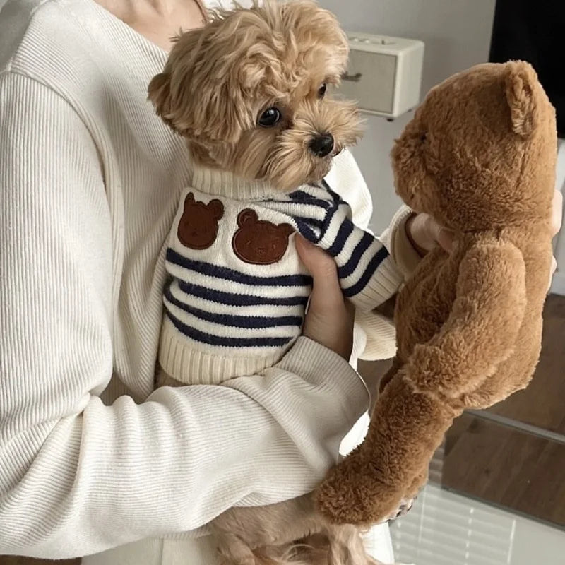 Pull Ours Douillet Pour Chien
