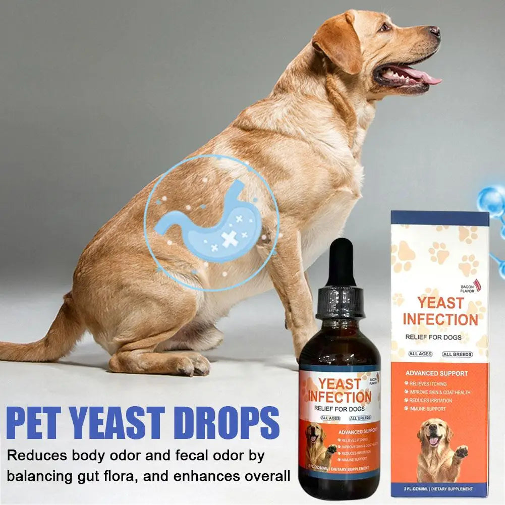Gouttes Beauté Pour Chien