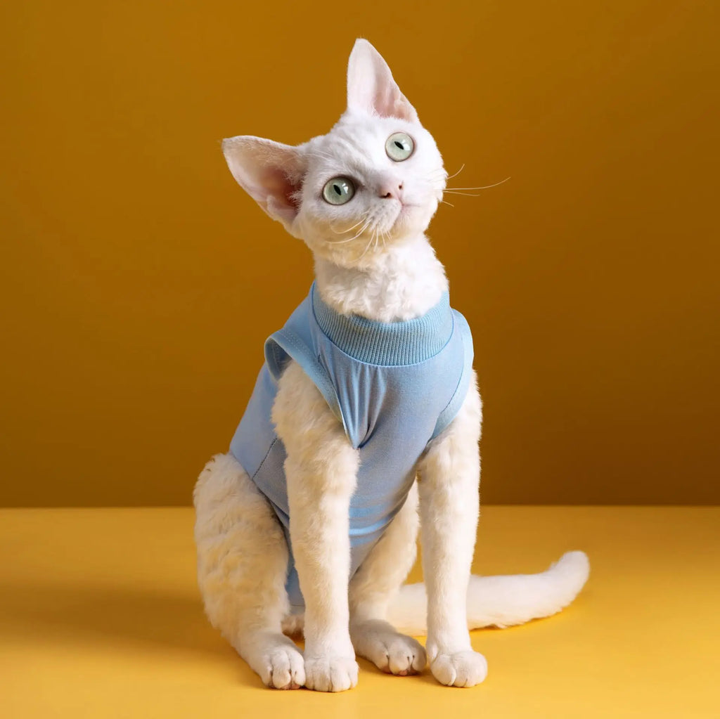 Combinaison Récupération Chat