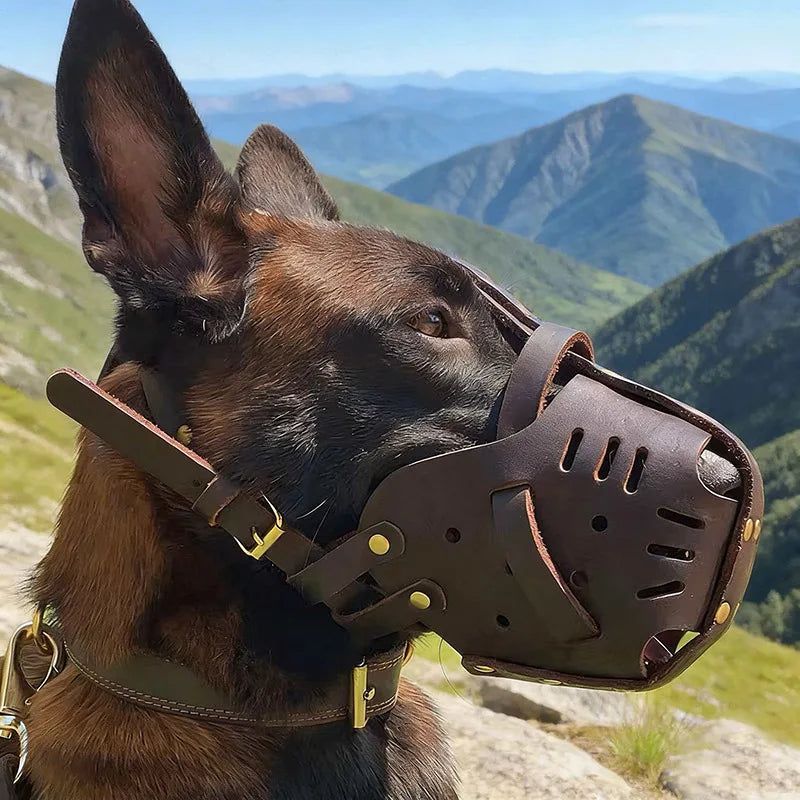 Muselière Confort pour Chiens