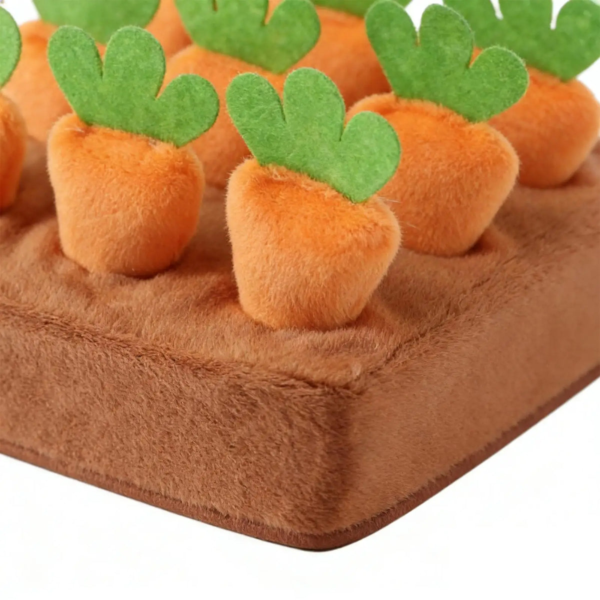 Tapis de Fouille Carottes
