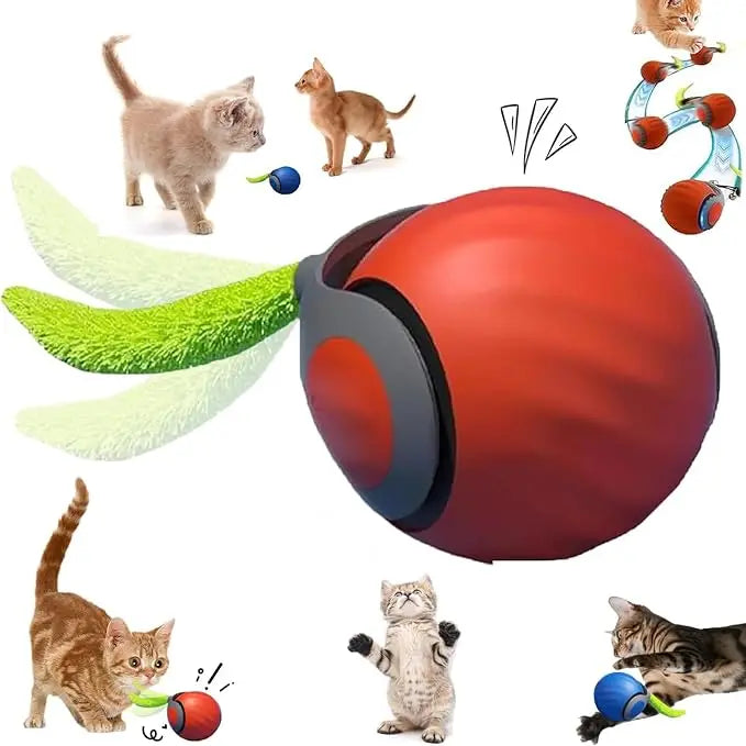 Balle Interactive Speedy Tail