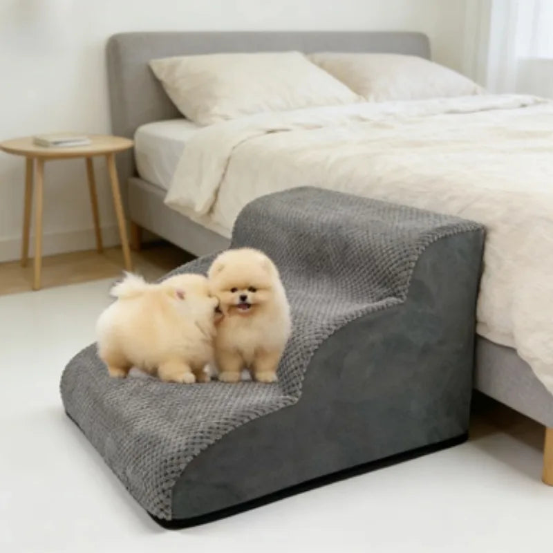 Rampe Douce pour Animaux