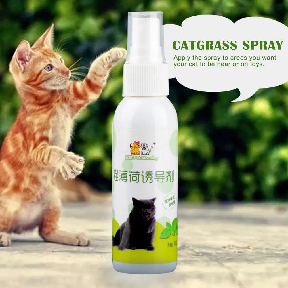 Spray Cataire Plaisir Félin