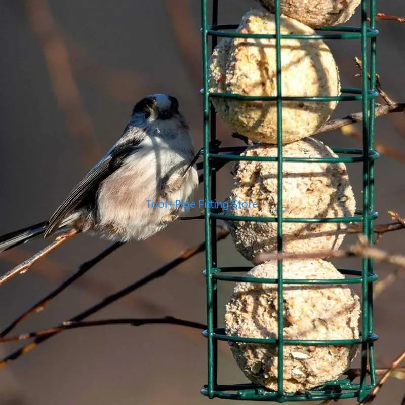 Jardin Suspendu pour Oiseaux