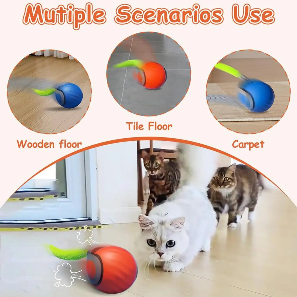 Balle Interactive Speedy Tail
