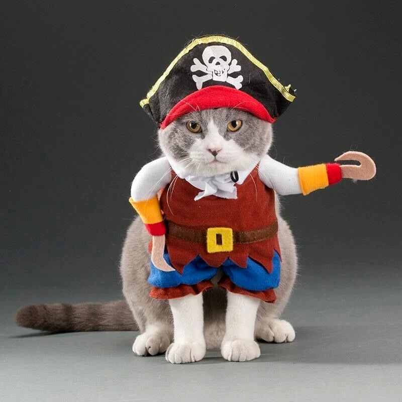 Costume Rigolo Pour Chat
