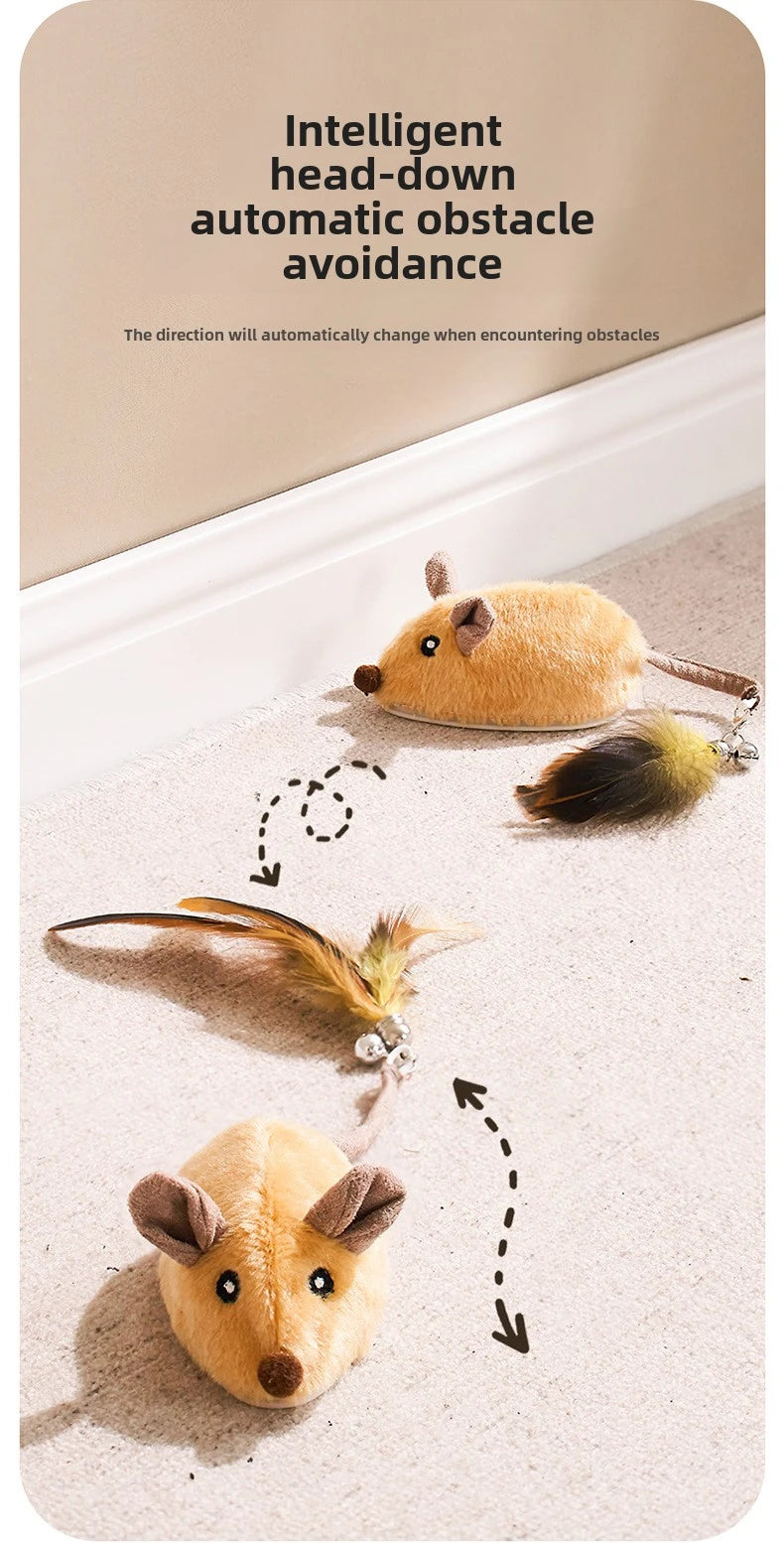 Souris Interactive Automatique