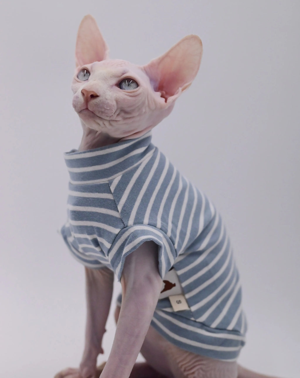 Gilet Chat Coton Doux
