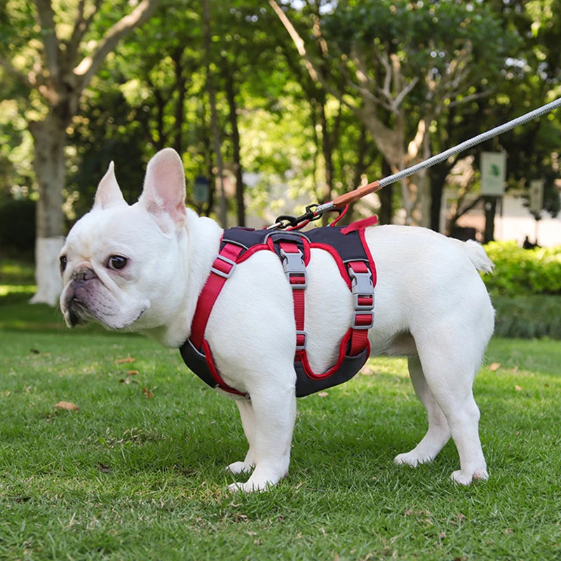 Harnais Bulldog Anti-Traction