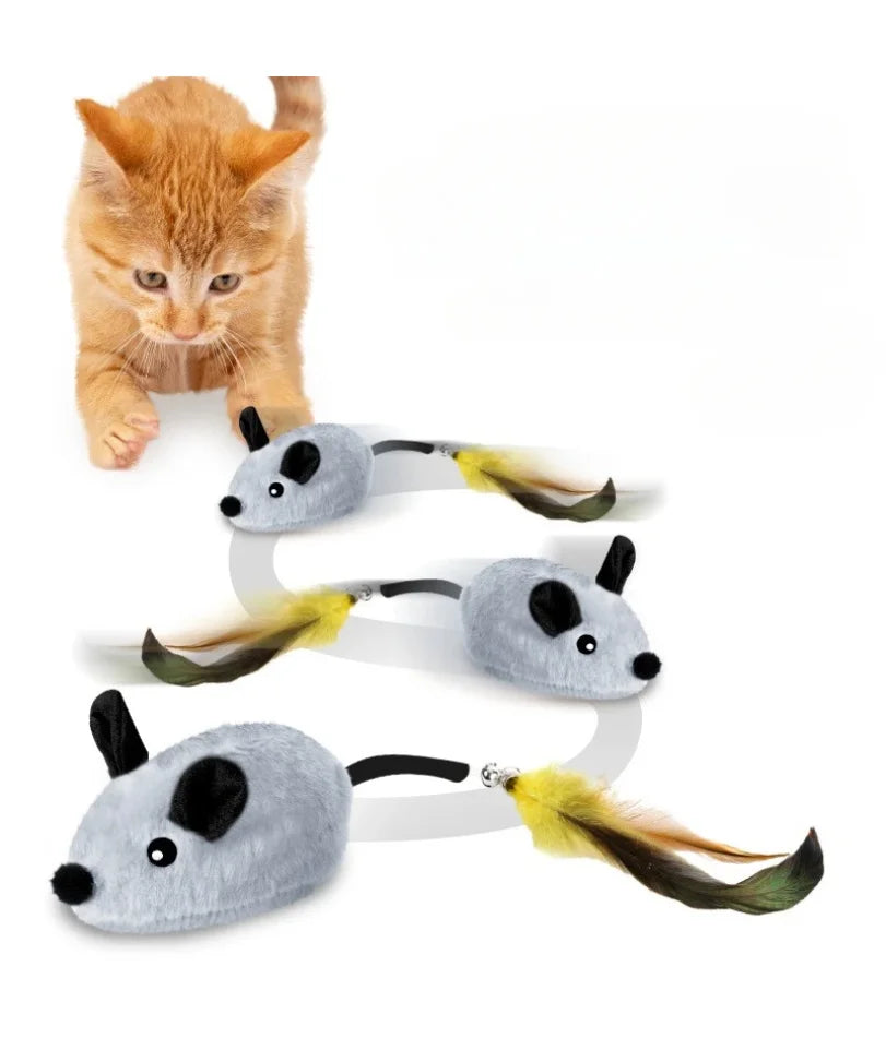 Souris Interactive Automatique