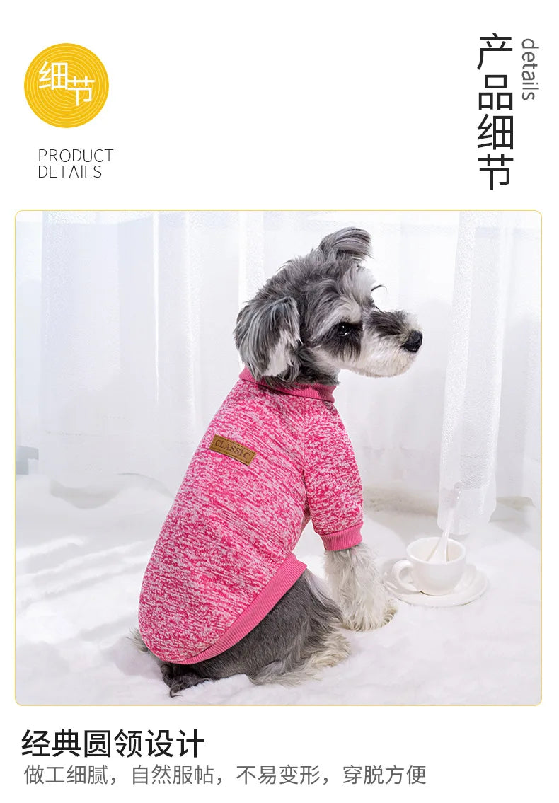 Pull Chaud Pour Chien