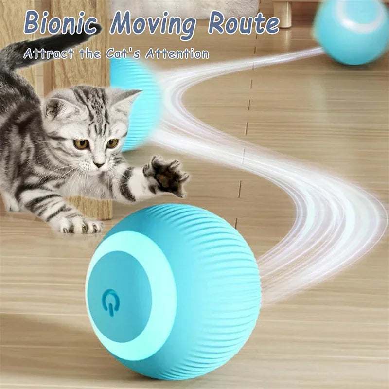 Balle Intelligente Pour Chat
