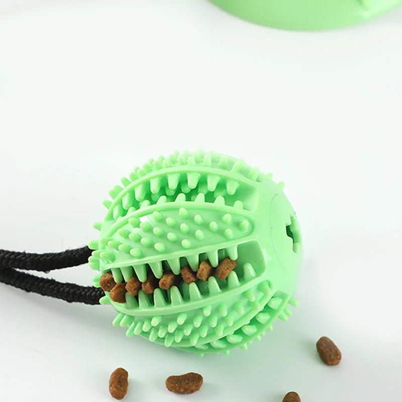 Jouet Interactif Gourmand