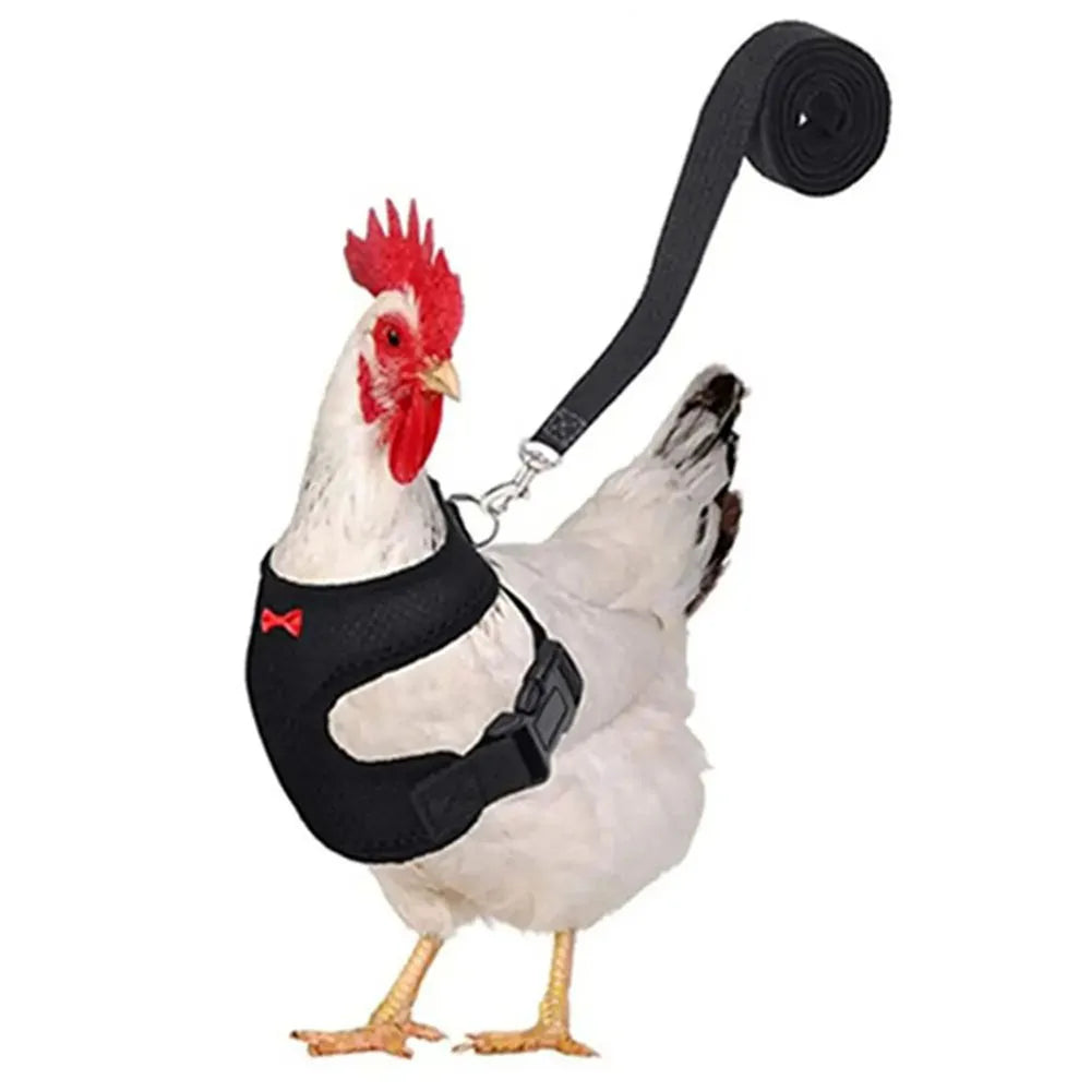Harnais Confort Pour Petits Animaux