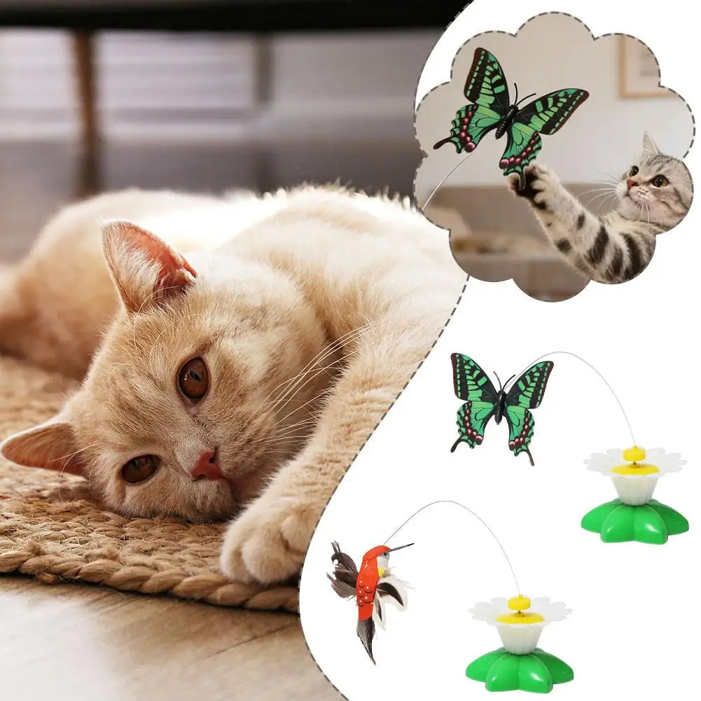 Papillon Volant Interactif