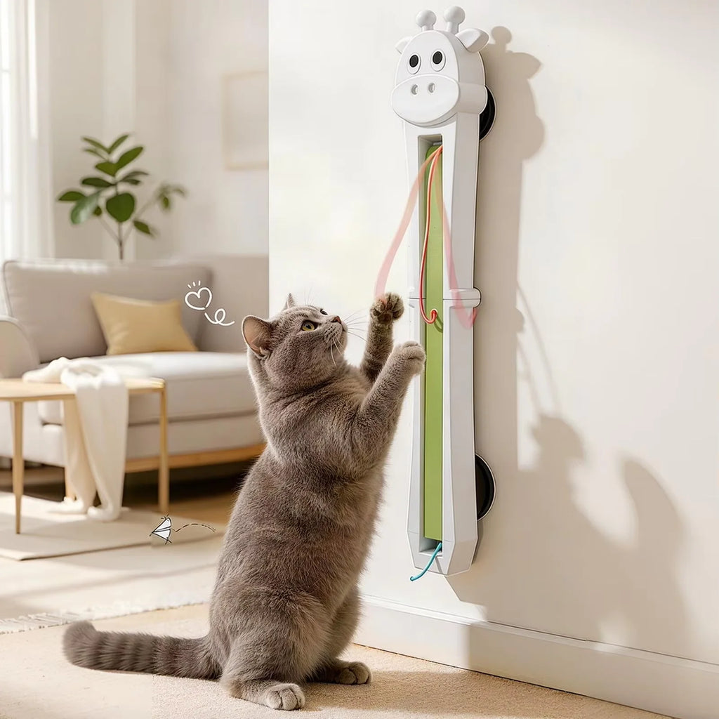 Petit Compagnon Interactif
