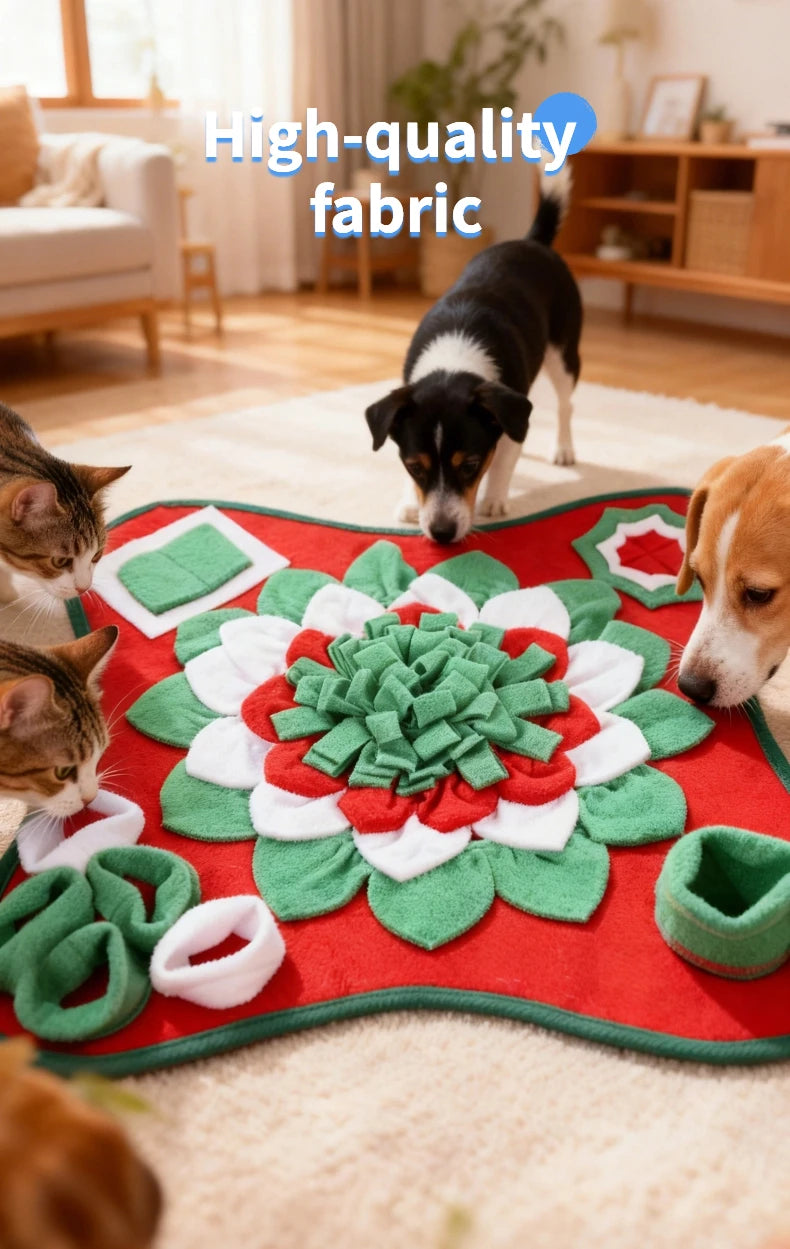 Tapis De Fouille Interactif